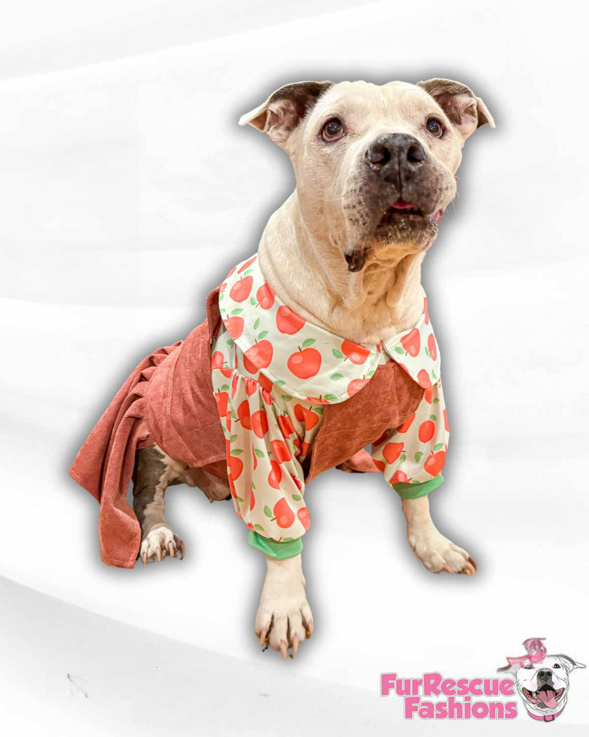 Roveralls Dog Jumpsuit With Skirt