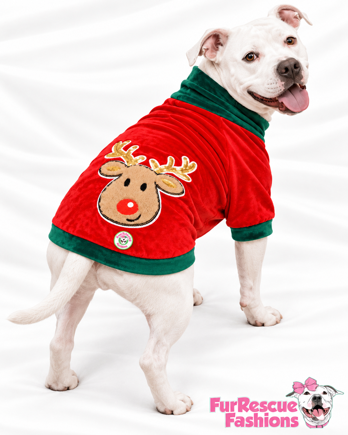 Rudolph’s Cozy Christmas Dog Shirt — Holly Red