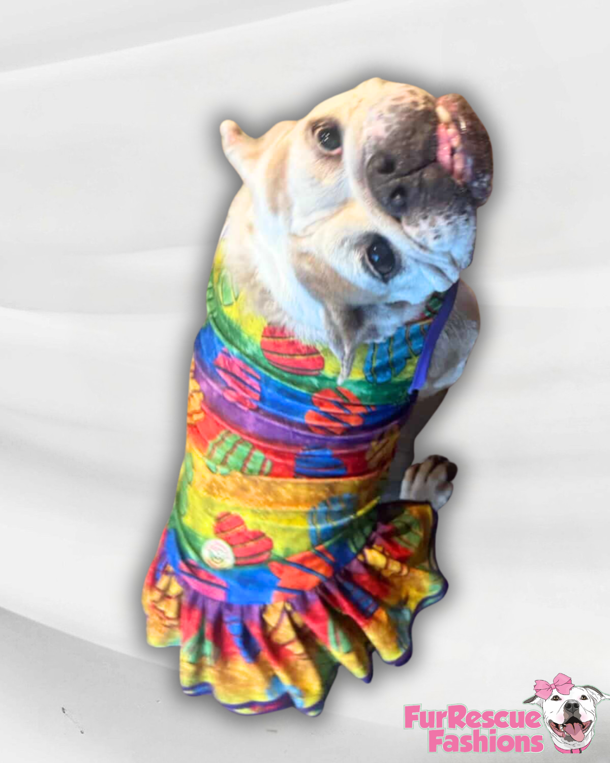Rainbow Pride Hearts - Dog Pajama with Purple Neck & Trim/Sleeves
