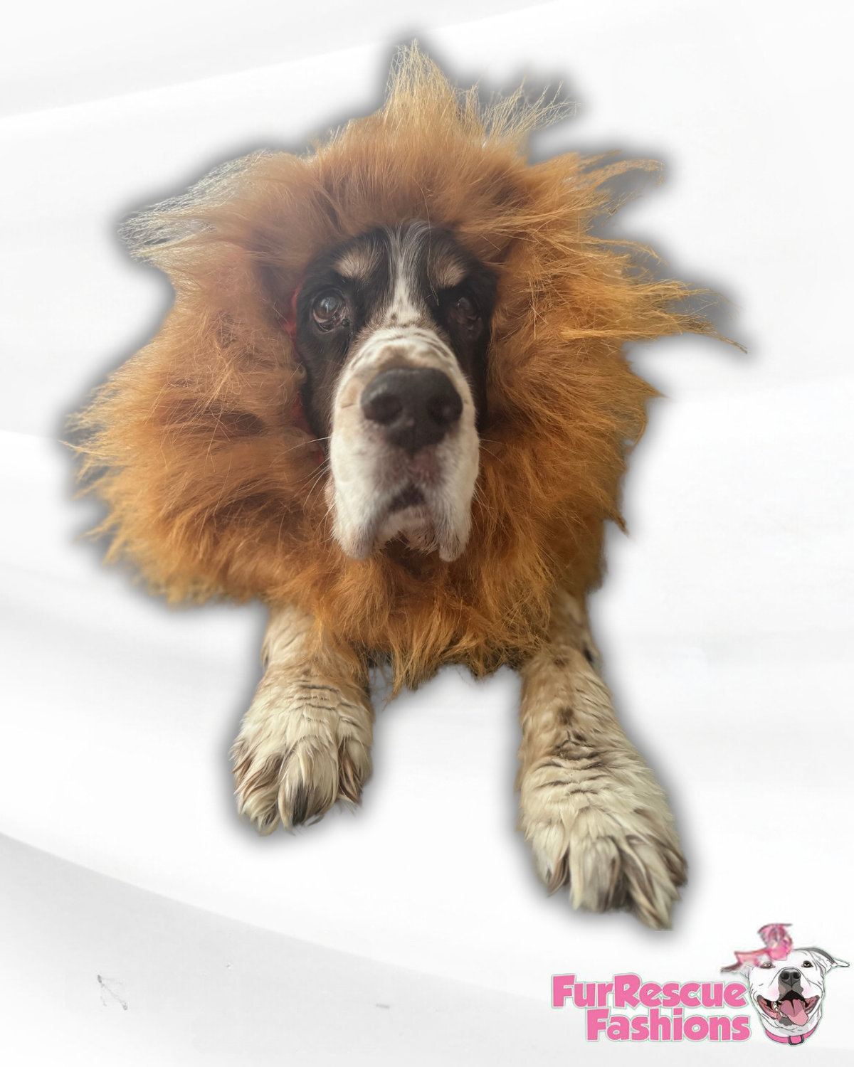 Lion Mane Dog Snood for Large Dogs