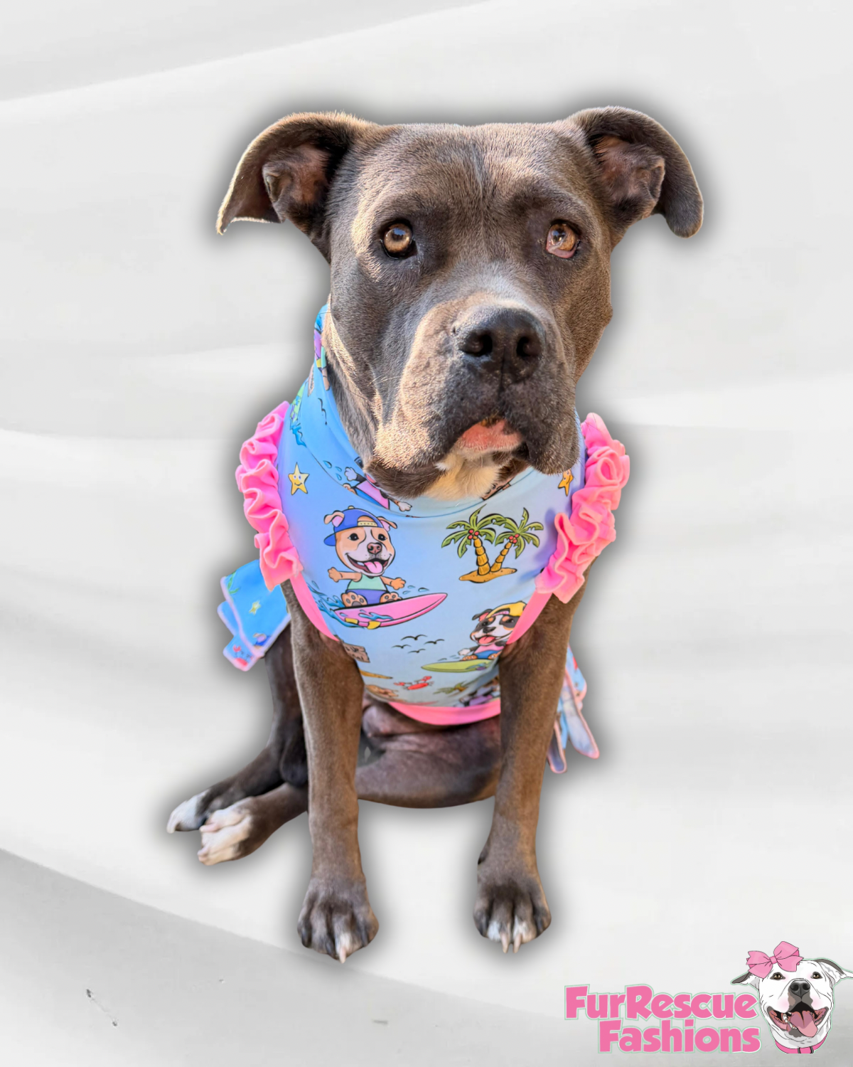 2026 Summer Dog Dress With Ruffle / With Sleeves or Sleeveless (Available in any pattern)