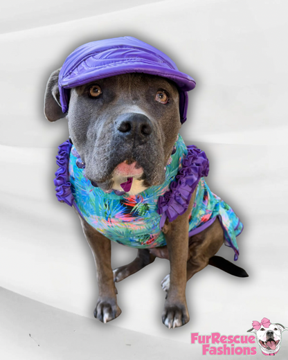 2026 Summer Dog Dress With Ruffle / With Sleeves or Sleeveless (Available in any pattern)