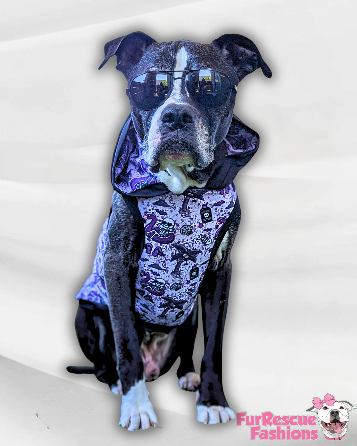 Spooky Summerween - Dog Pajama with Black Neck & Trim/Sleeves