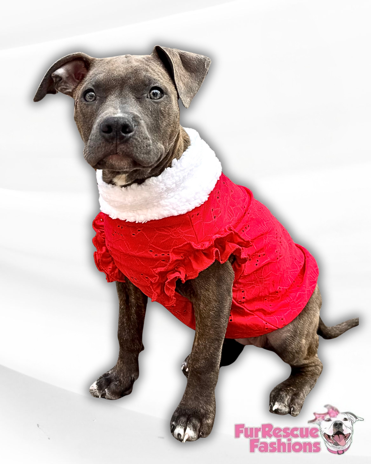 Cozy Poinsettia Ruffle Dog Shirt (sleeves or sleeveless)