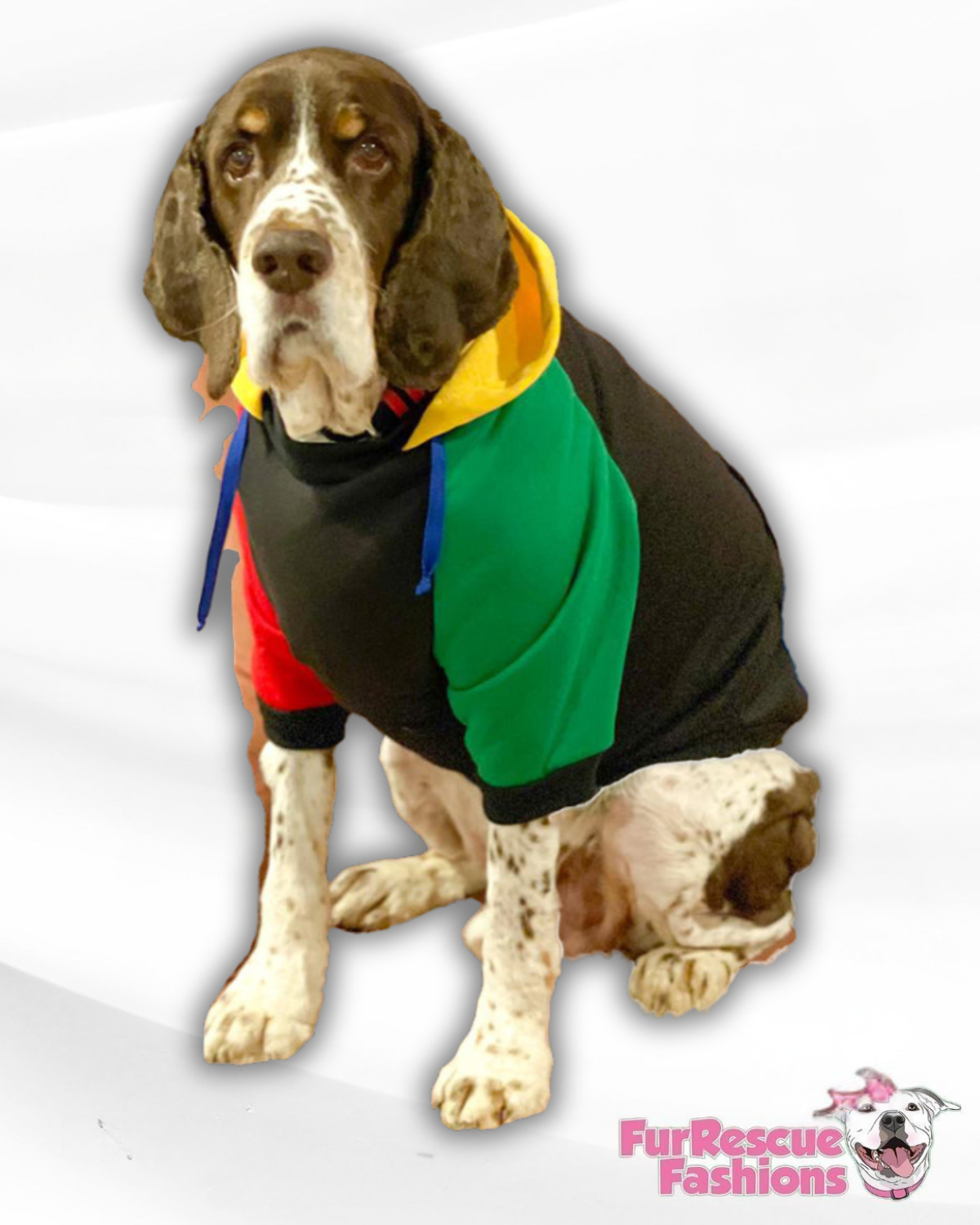 United Colors of Pupnetton Hoodie