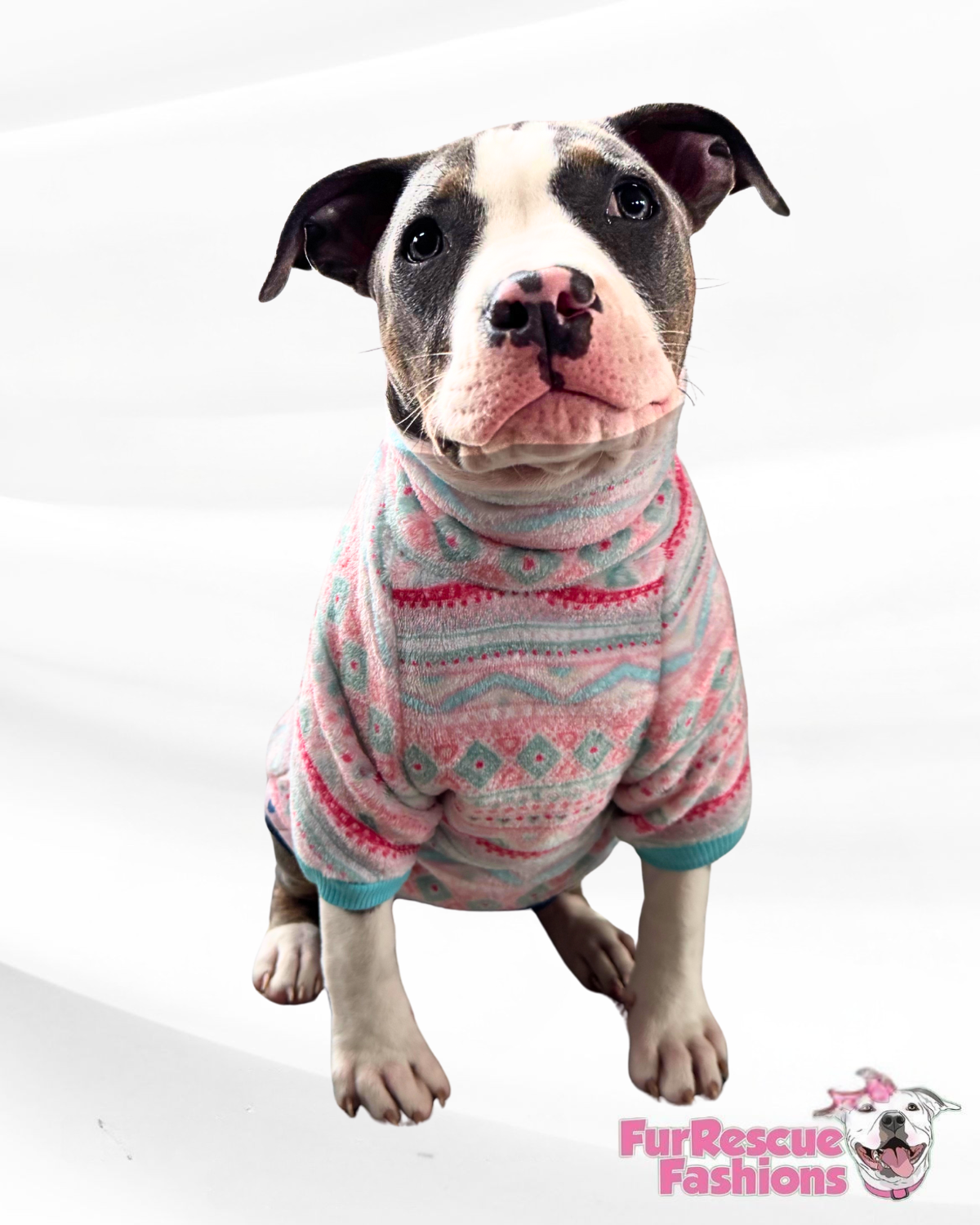 Winter Fair Isle - PAWJama