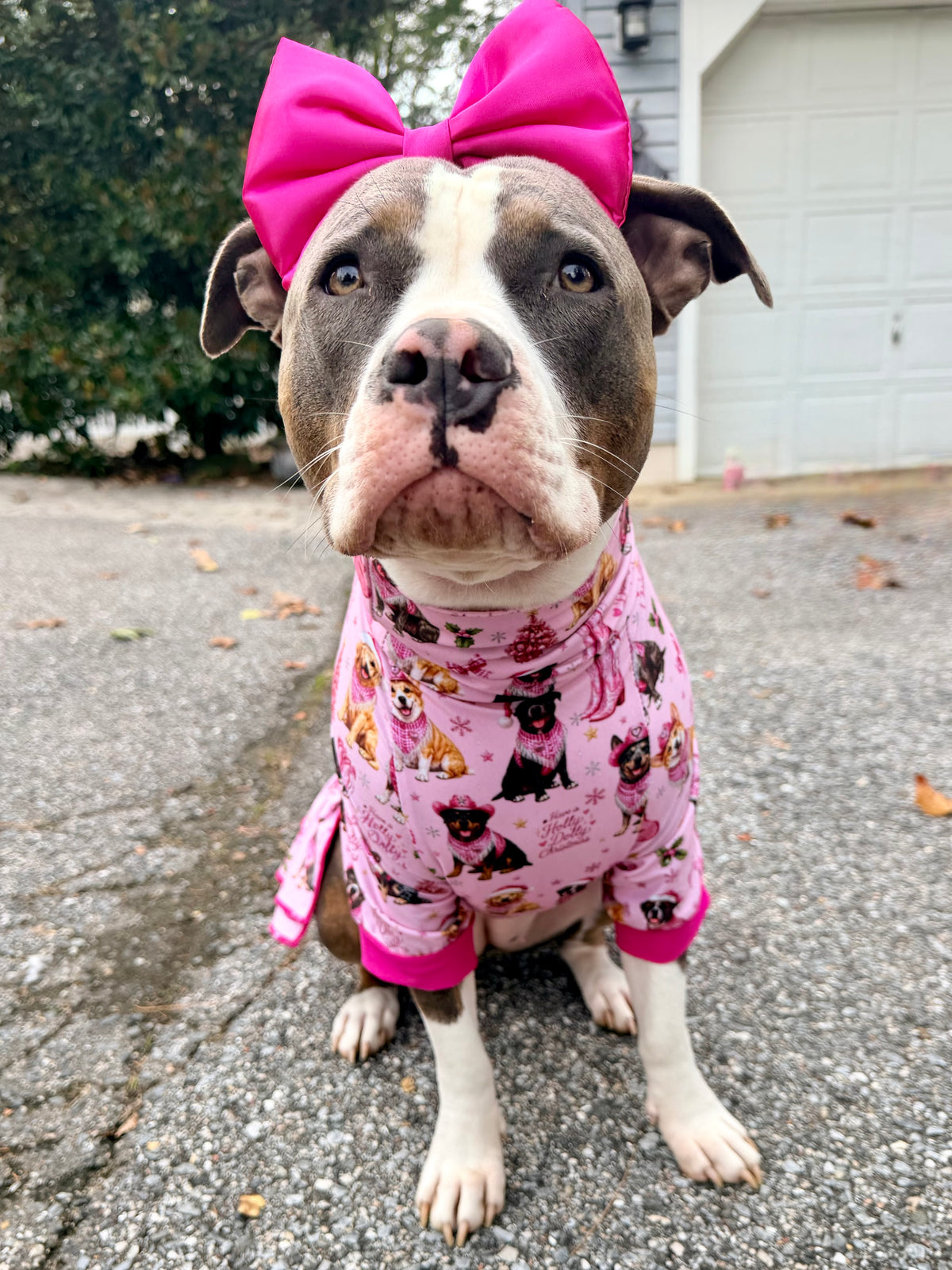 Holly Dolly Christmas - Dog Pajama with Pink Neck & Trim/Sleeves