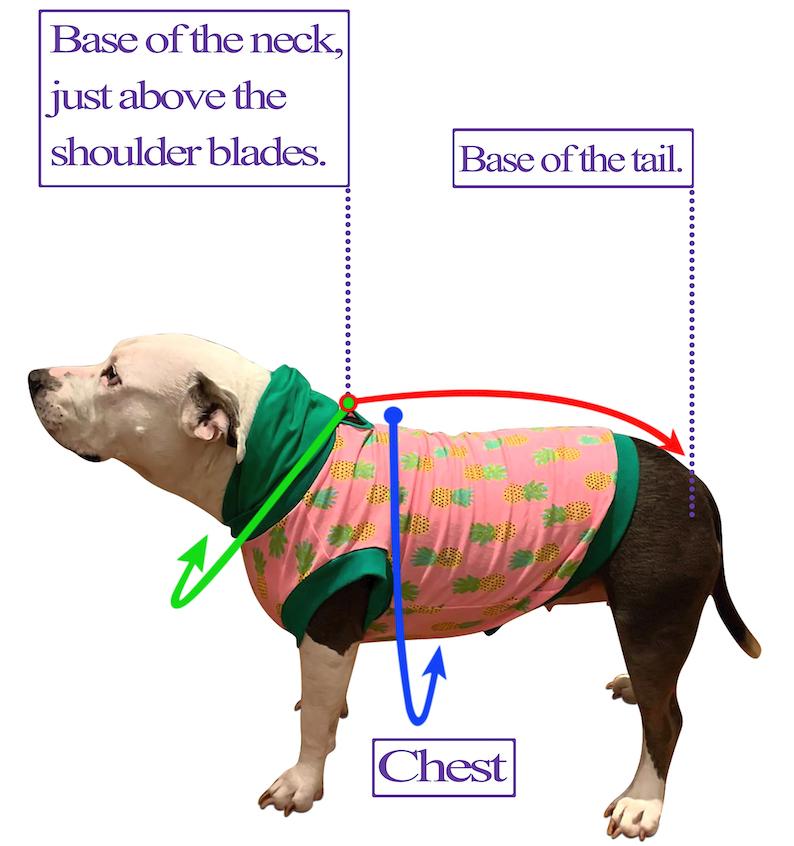 2024 Summer 4 Legged PAWjamas with Turtle Neck (Available in any pattern)