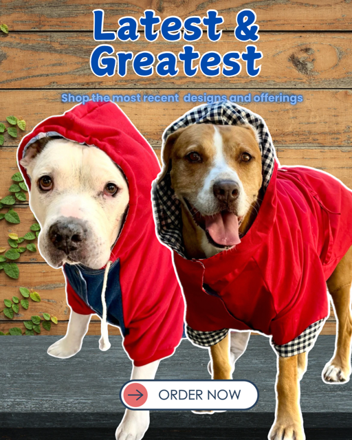 Shop Online Big Dog Clothes | Pitbull Dog accessories for sale