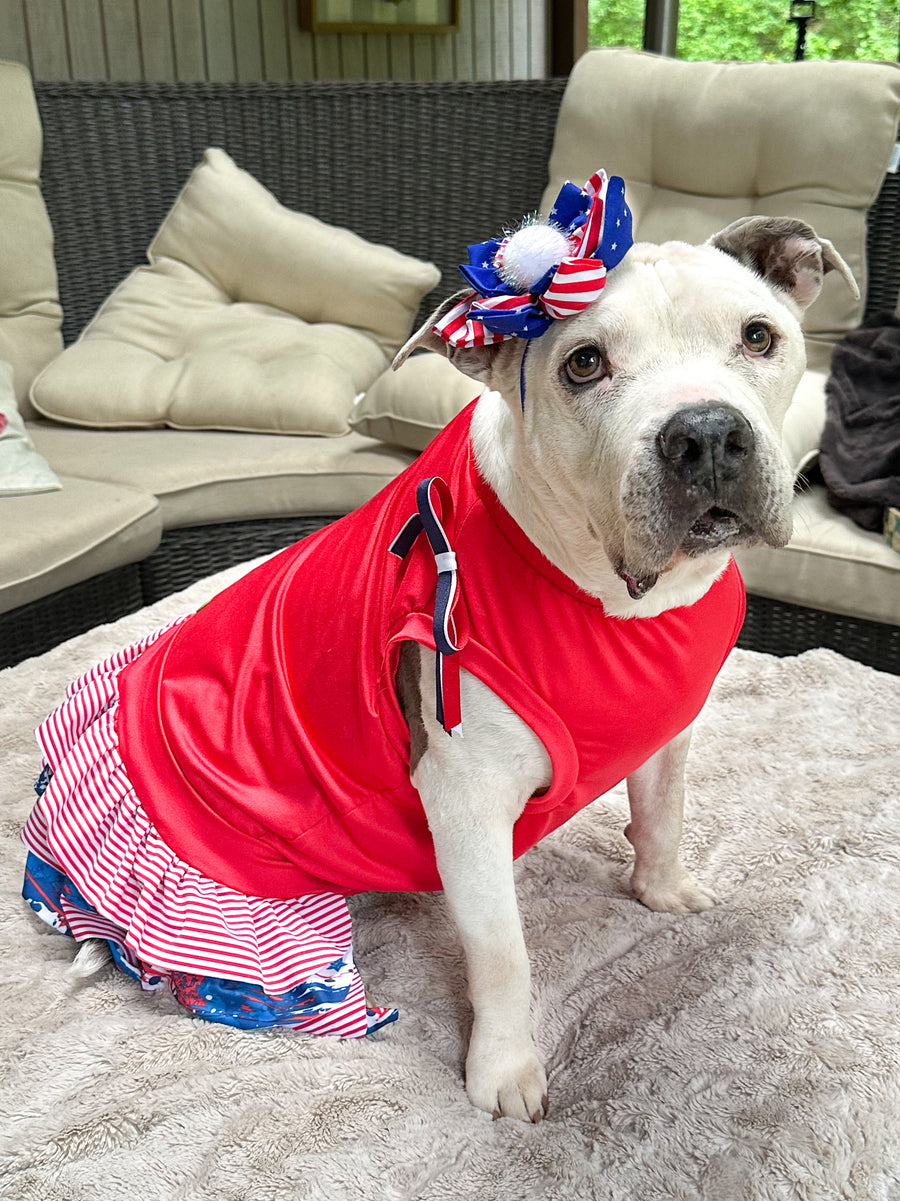 Red ‘Murica Pride Dress With Ruffle