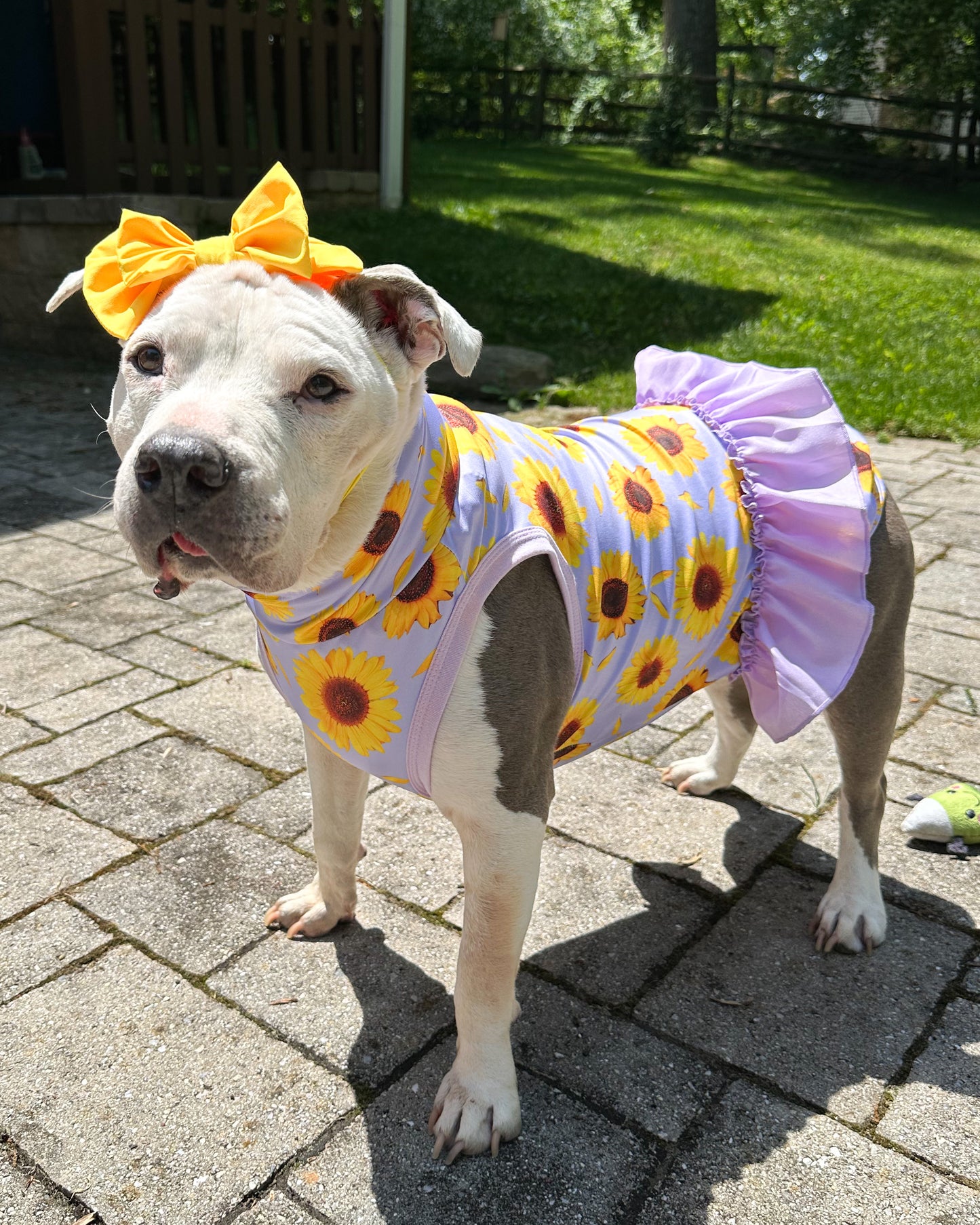 UV50 Sunflower Paradise Sleeveless Shirt With Ruffle