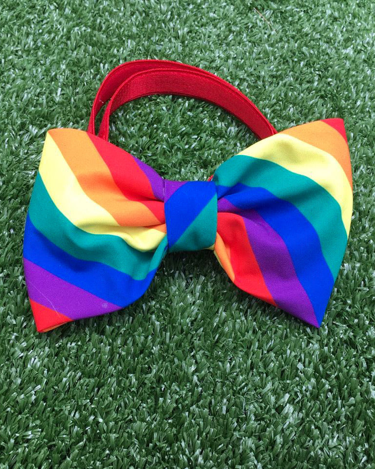 Pride Bow with adjustable band
