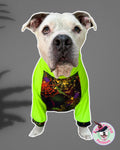 No Fly Zone - PAWjama with Neon Green Neck & Trim/Sleeves