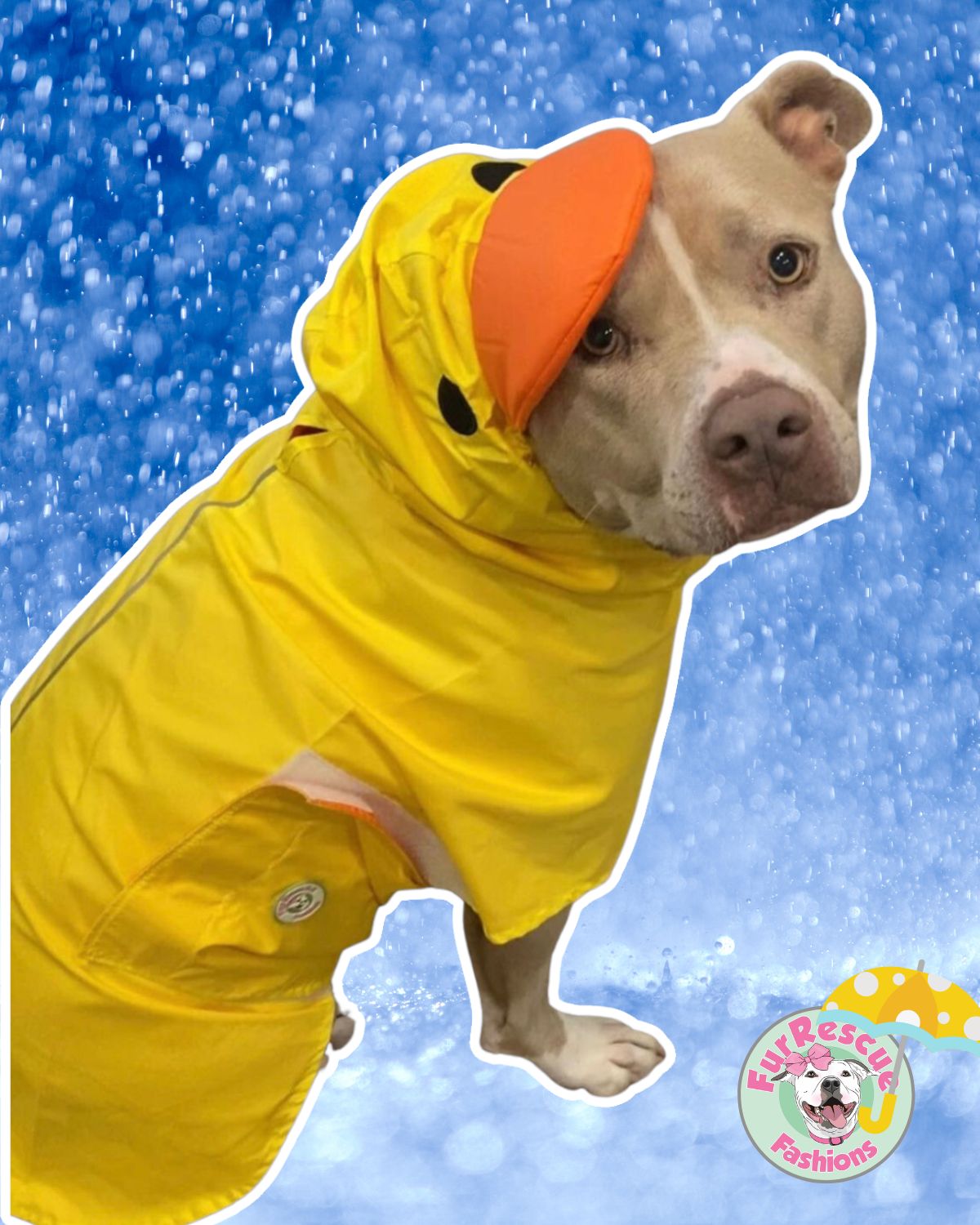 Sharkie Rain Jacket - Cape - Vest