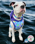 Bite Me Hawaiian Shark UV50 Dog PAWjama with Purple Trim