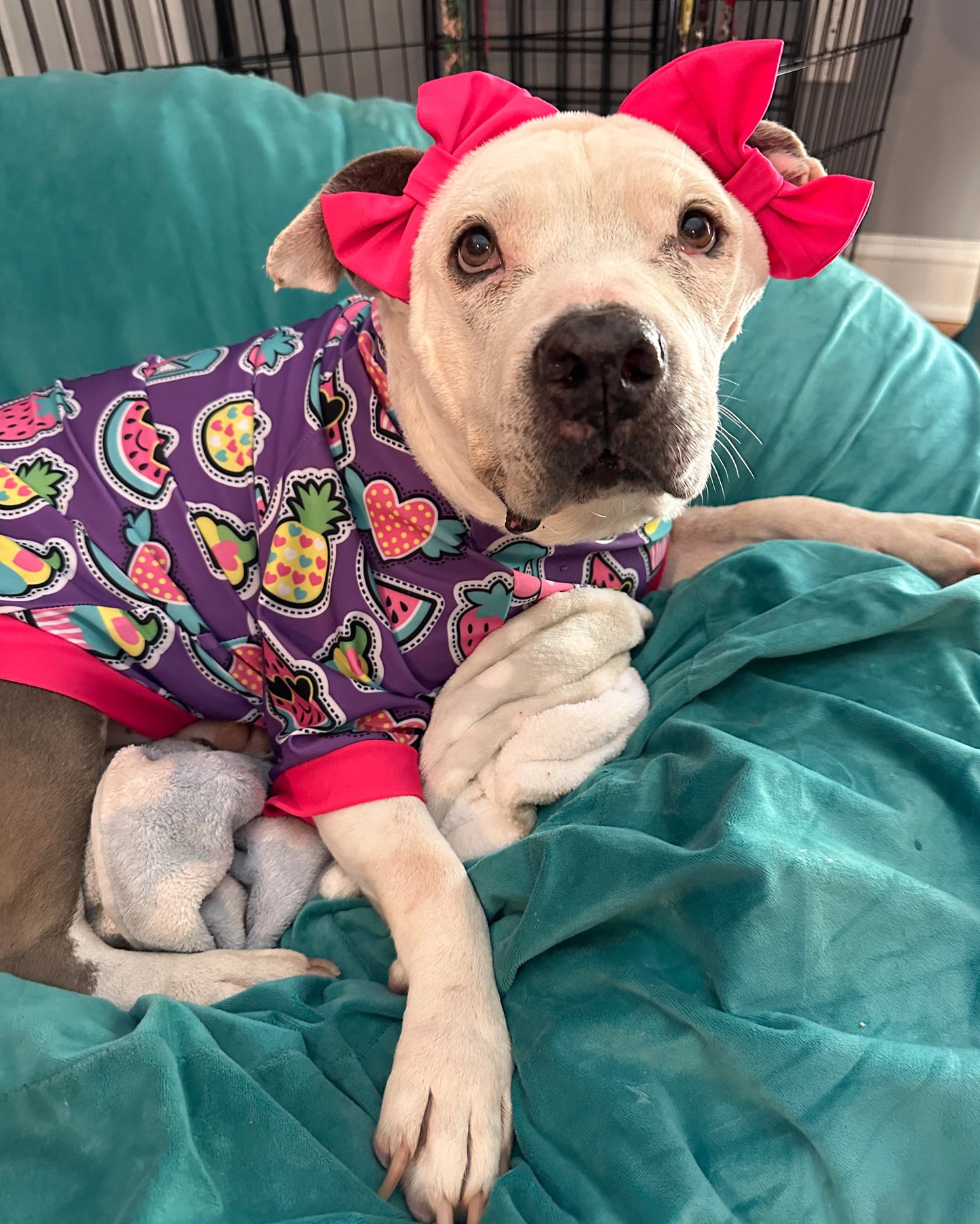 Doggie Double Bow Headband