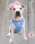 Care Puppies - PAWjama with Pink Neck & Trim/Sleeves