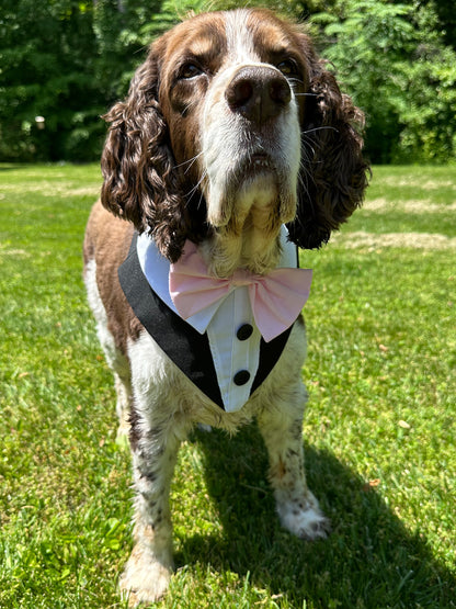 Dog Tuxedo Bandana