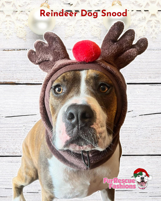 Rudolph Dog Snood