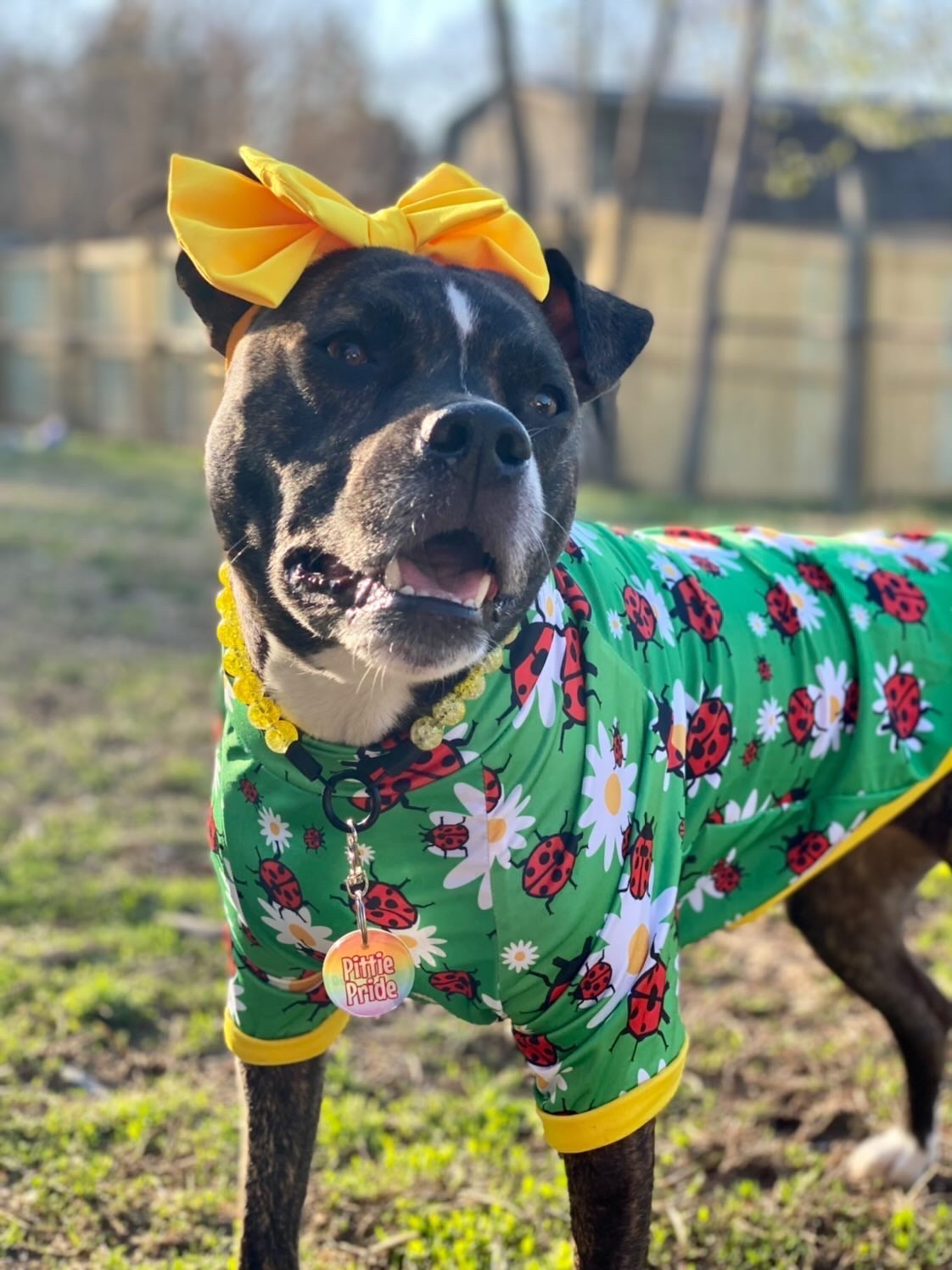 Doggie Bow Headband