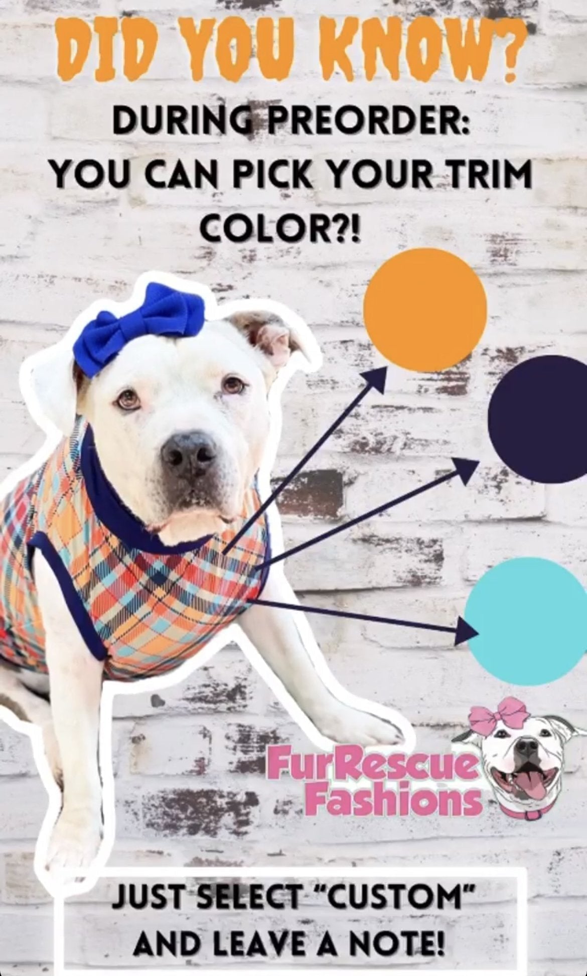 Pittie Talk  - Dog Pajama with Lilac OR Orange Neck & Trim/Sleeves