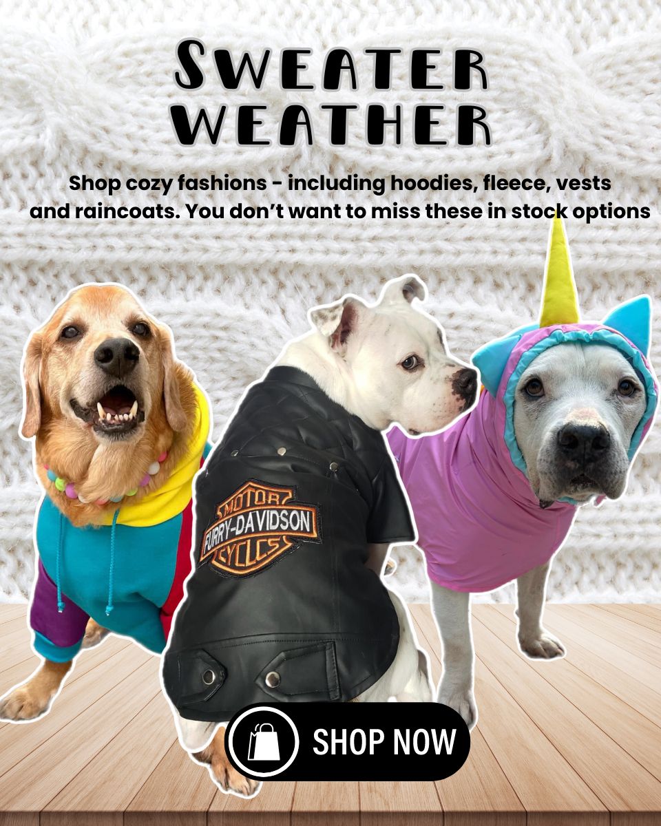 Shop Online Big Dog Clothes | Pitbull Dog accessories for sale