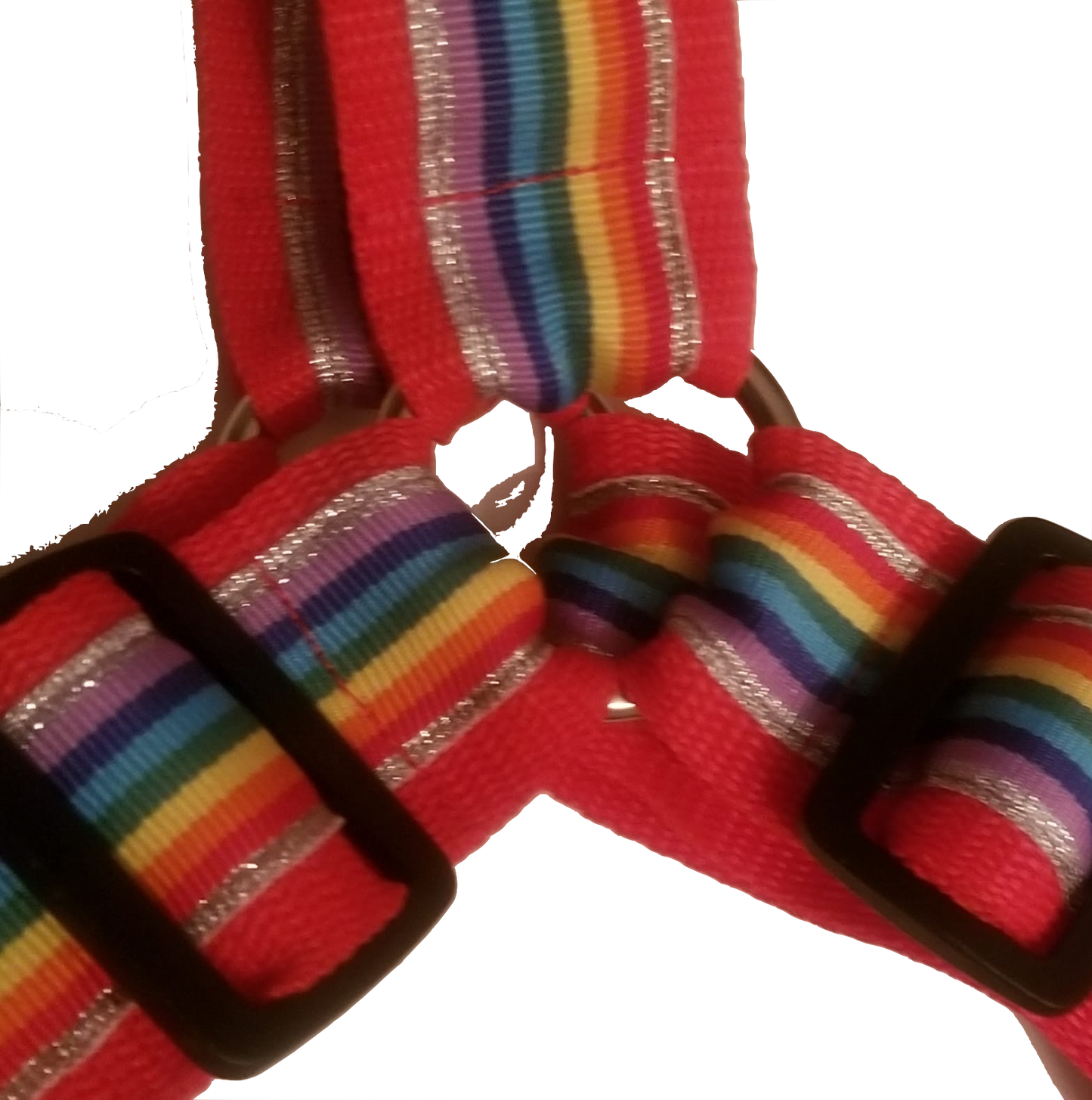 Pride Flag red w/gold stripe No-pull Harness - 1.5"