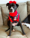 Pitties Free Kisses Booth-  Black PAWjama with Red Trim/Sleeves