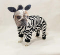 Zebra Dog Pawjama Costume