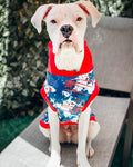 Dog Shirt Dog pajama hoodie Independence Day Pattern 4th of July Red White Blue Stars Abstract pattern 