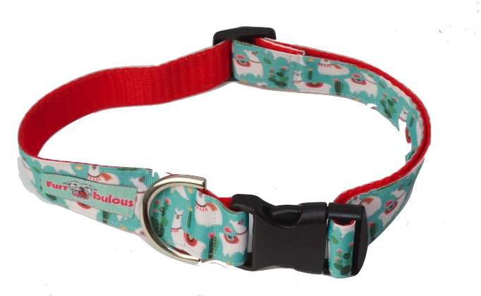 Llamas Teal Sport Collar 1.5"