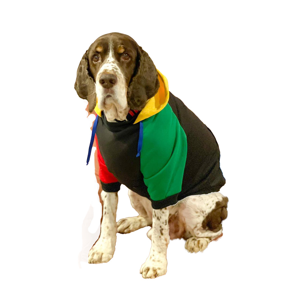 United Colors of Pupnetton Hoodie