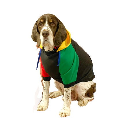 United Colors of Pupnetton Hoodie