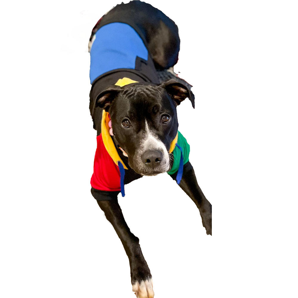 United Colors of Pupnetton Hoodie