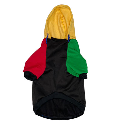 United Colors of Pupnetton Hoodie