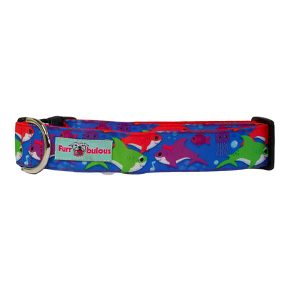 Dancing Sharks Sport Collar 1.5"