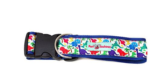 Dinosaur World Sport Collar 1.5"