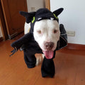 Halloween Bat Dog Costume