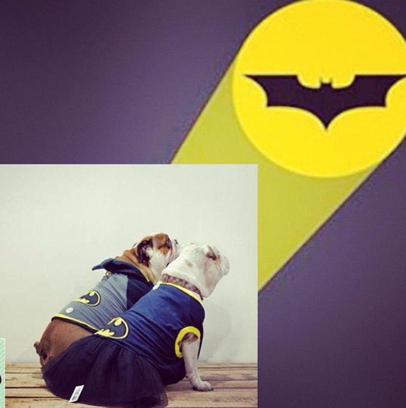 Halloween Batgirl Dog Costume
