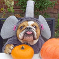 Halloween Elephant Dog Costume