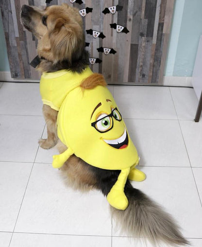 Halloween Emoji Dog Costume