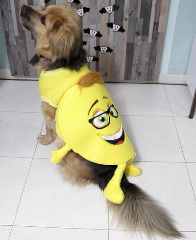Halloween Emoji Dog Costume