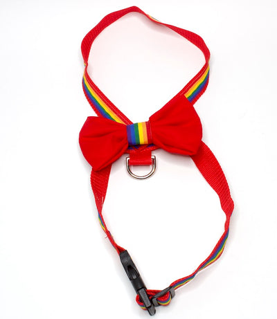 Harness with Bowtie for small dogs