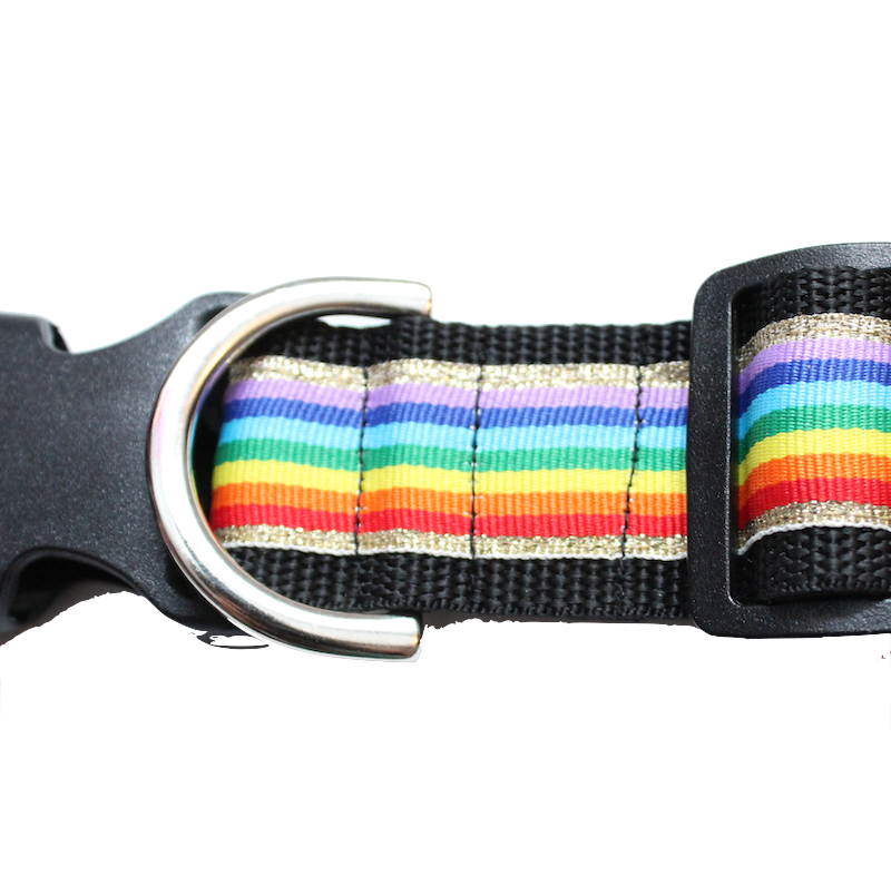 Pride Sport Collar 1.5"