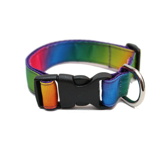 Pride Sport Collar for smaller pups