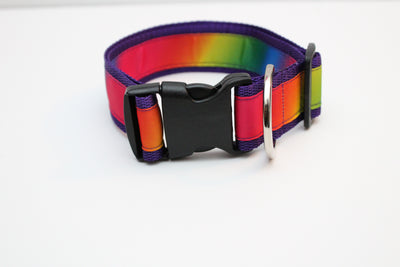 Pride Sport Collar for smaller pups