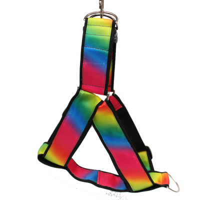 Pride Rainbow Ombré Black No-pull Harness - 1.5"
