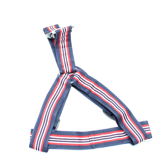 Stripes Red, white & blue No-pull Harness - 1.5"