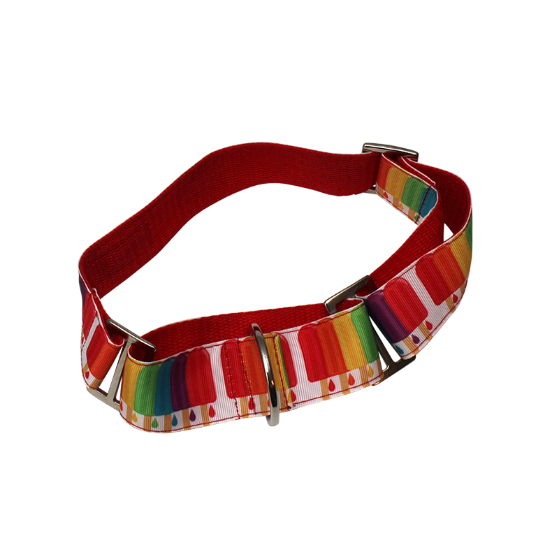 Martingale 1.5" dog Collar