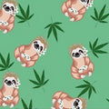 PAWjama - Sloth So High- Summer Paw Shirt (Black Hoodie/V-Neck)
